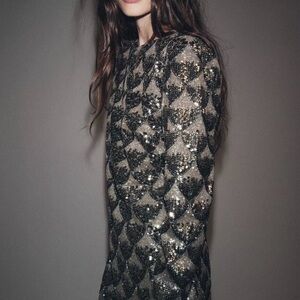 Zara Metallic Sequin Long Sleeve Dress XS